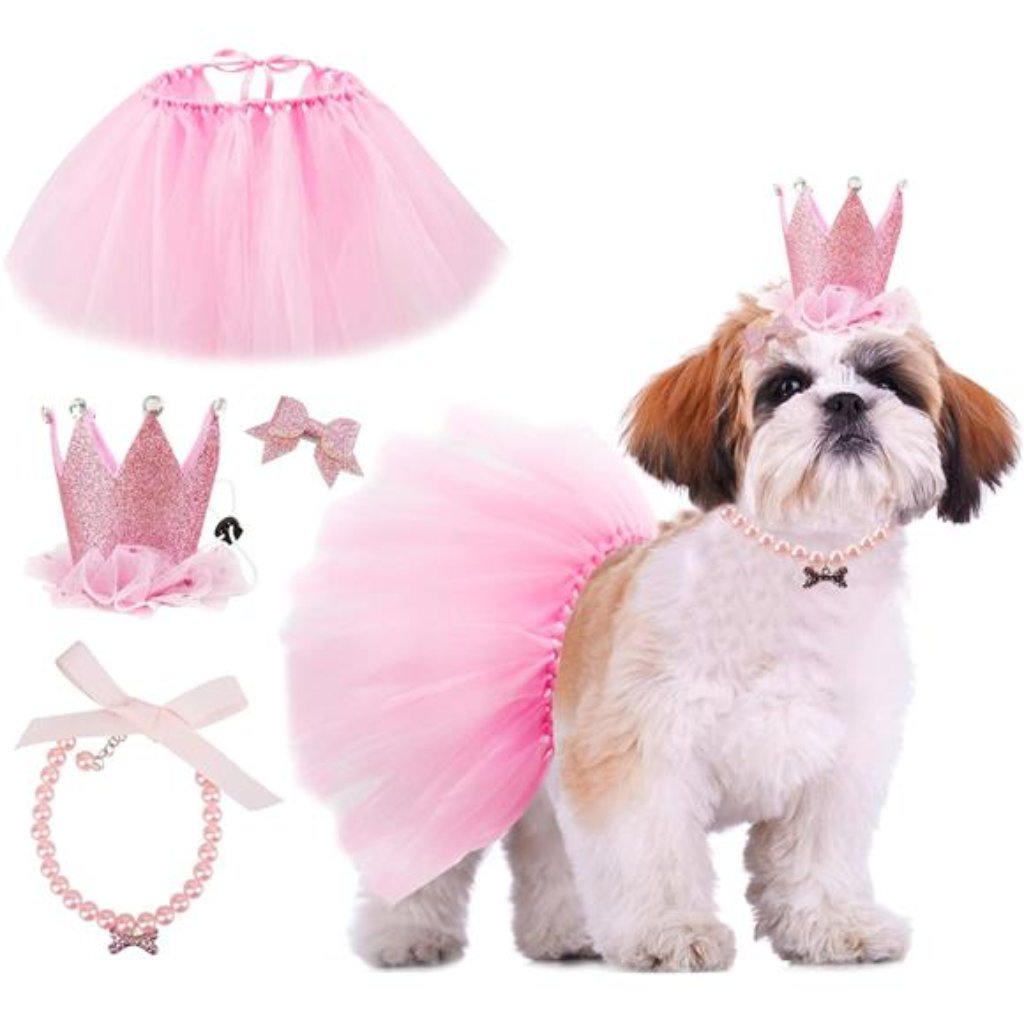 Brand New Dog Birthday Outfit